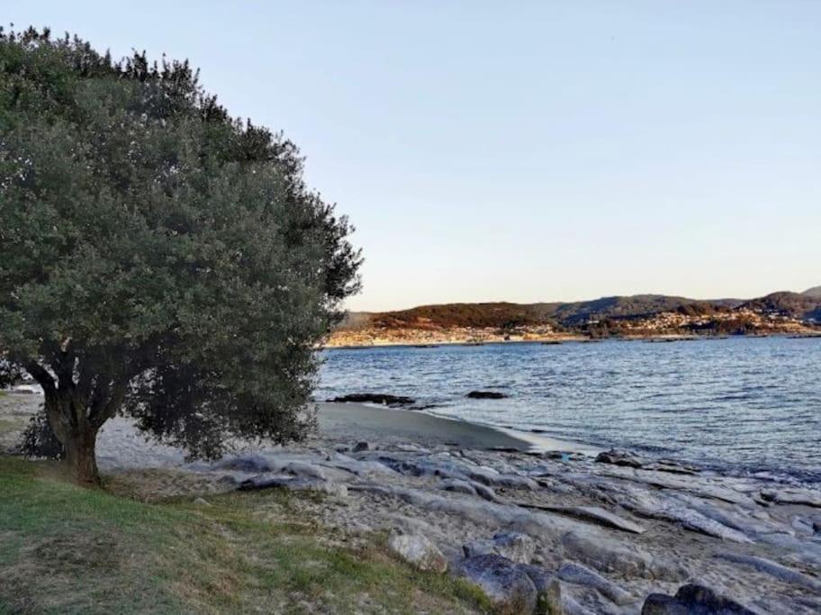 Apartamento Con Jardin Y Piscina Temporada Verano Privados Samieira Zewnętrze zdjęcie