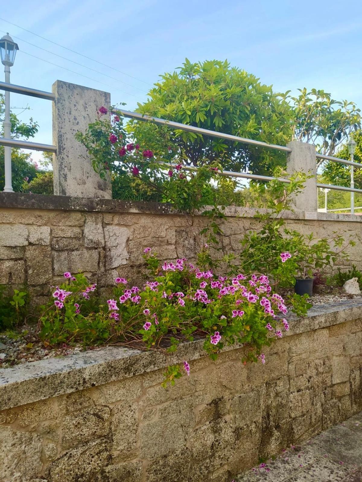 Apartamento Con Jardin Y Piscina Temporada Verano Privados Samieira Zewnętrze zdjęcie